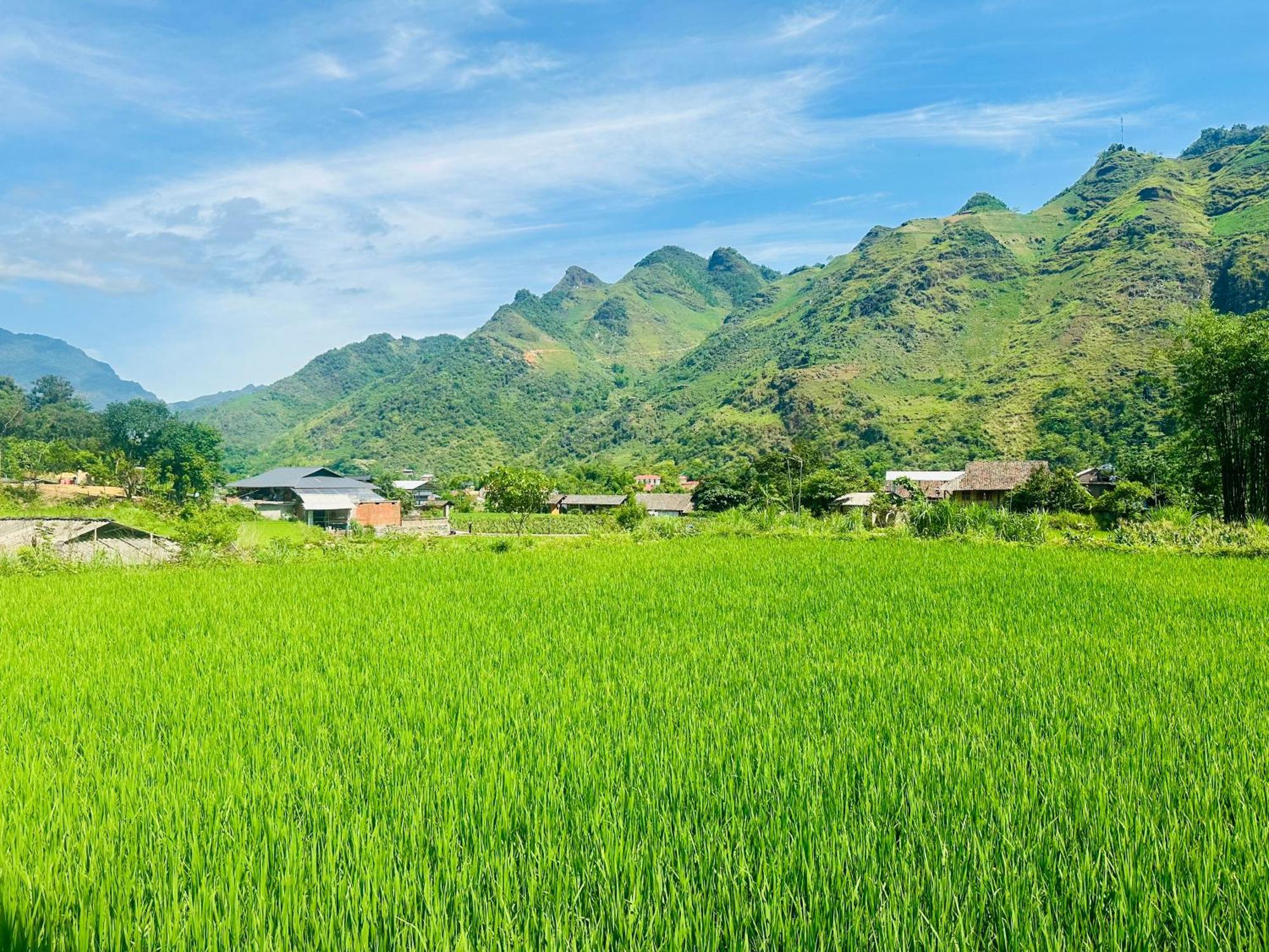 Du Gia Field View Homestay Lang Cac Экстерьер фото